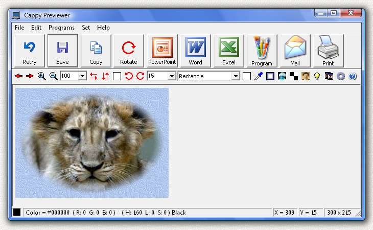 Capture Screen to PowerPoint, Word, Excel, Save BMP, JPG, GIF, JPG,Blend, Invert