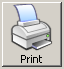 Print Button